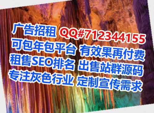宁波代母网络科技工作室
